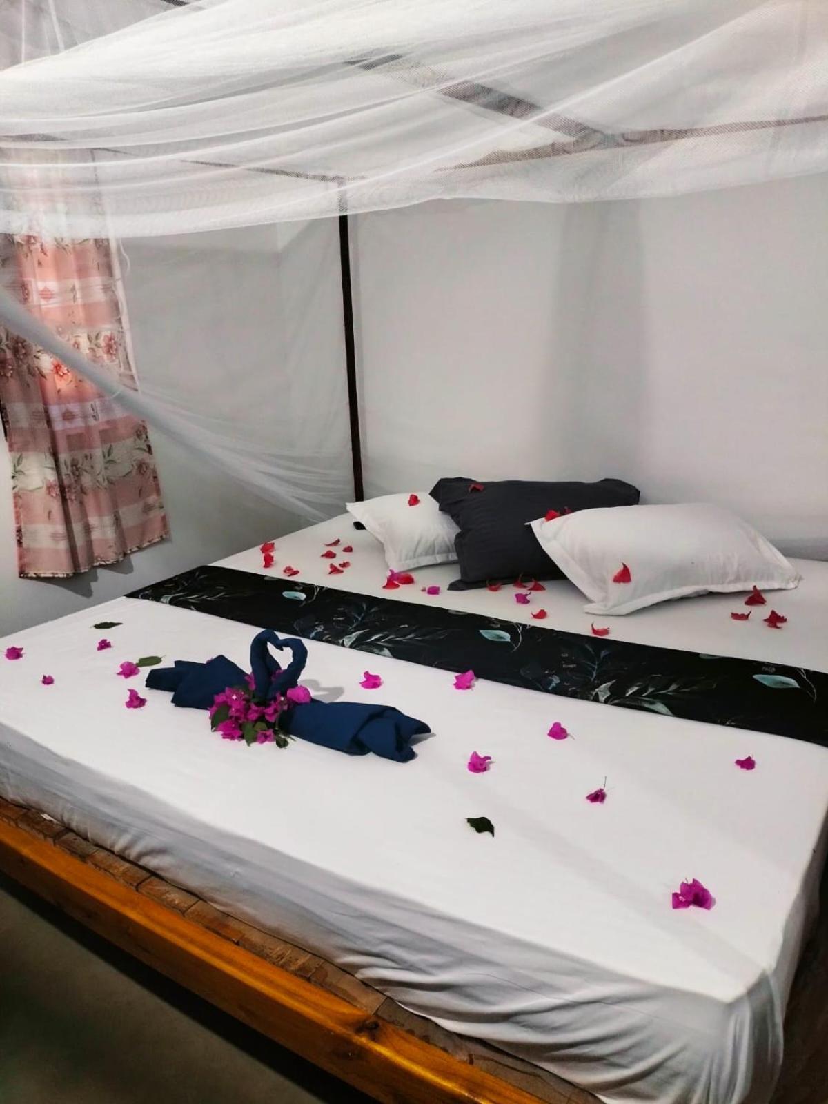 Costels Arugambay Hostel Arugam Bay Cameră foto