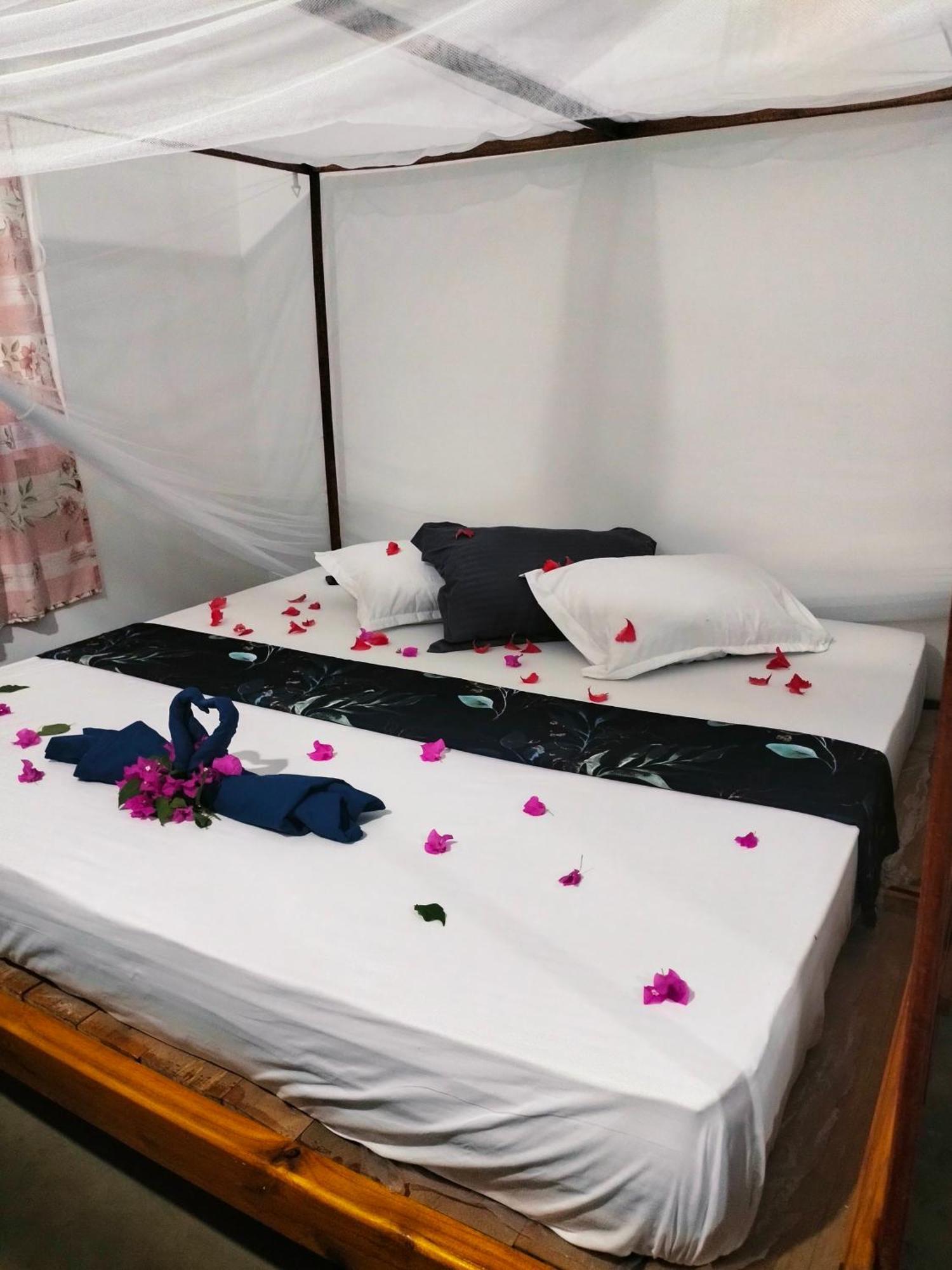 Costels Arugambay Hostel Arugam Bay Exterior foto