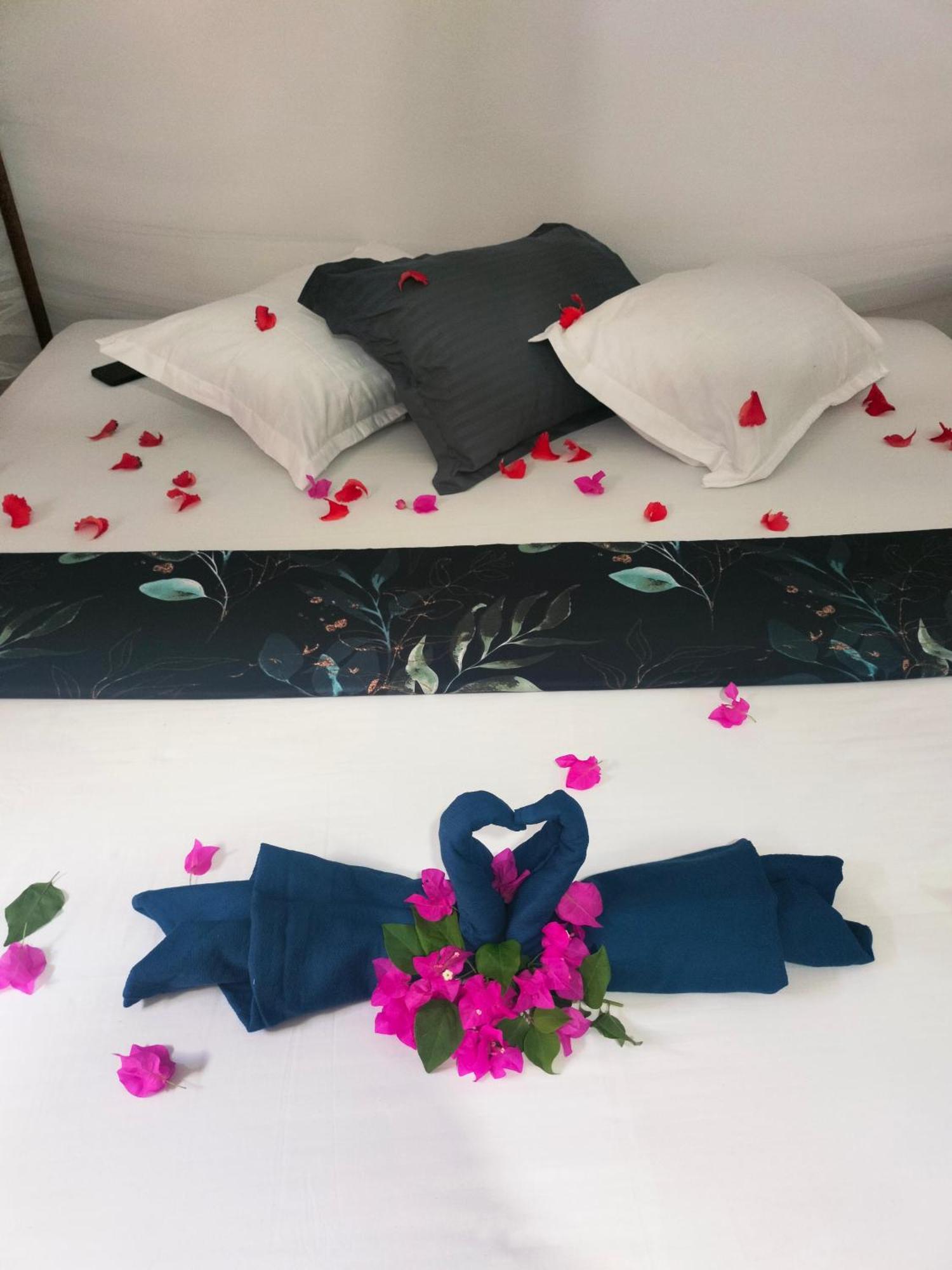Costels Arugambay Hostel Arugam Bay Cameră foto
